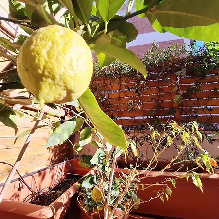 Comfortable 'n Modern *