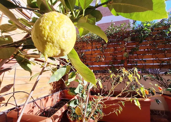 Comfortable 'n Modern *